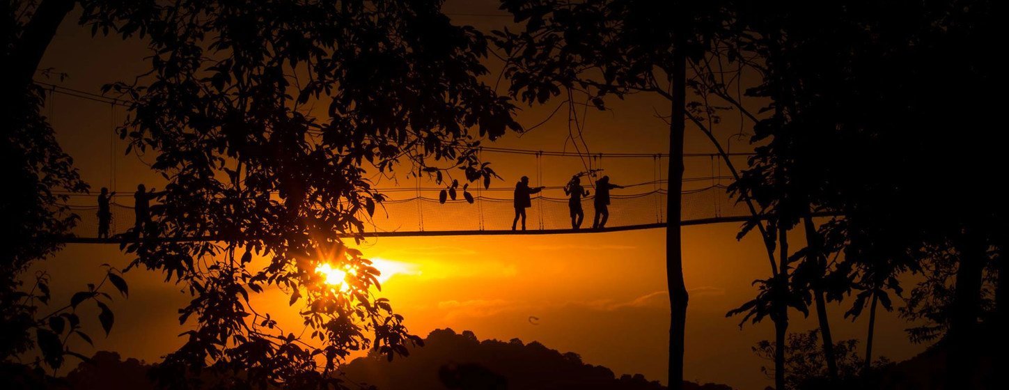 Coucher du soleil dans le parc national de Nyungwe au Rwanda, inscrit au Patrimoine mondial de l'UNESCO.