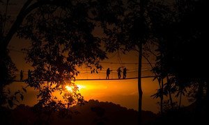 Sunset in the Nyungwe National Park in Rwanda.