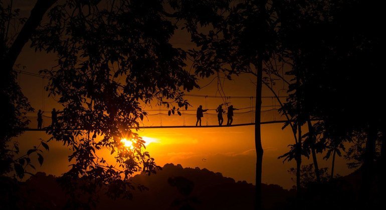 Sunset in the Nyungwe National Park in Rwanda.