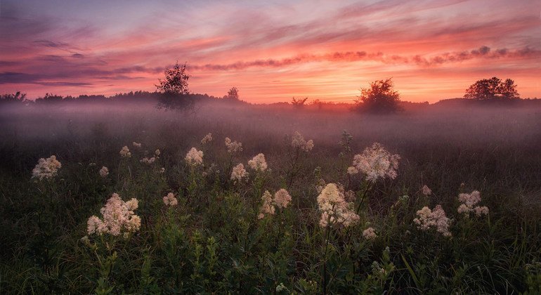  A summer evening in Smolensk, Dorogobuzh, Russian Federation.