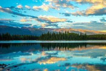 Parque do Lago Boya na Columbia Británica, Canadá. As temperaturas atingiram 49,6 º Celsius