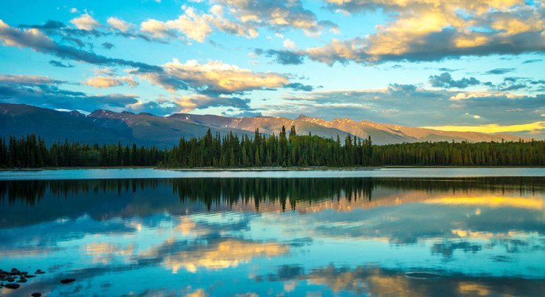 Boya Lake Provincial Park in British Colombia, Canada at midnight. 