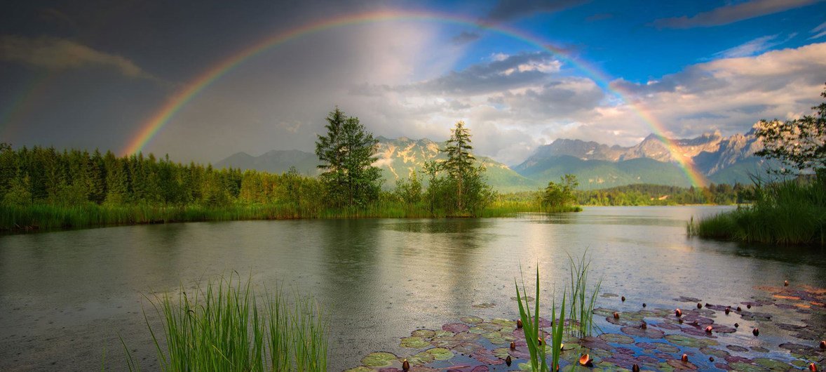 Un arcoiris se forma en un horizonte soleado.