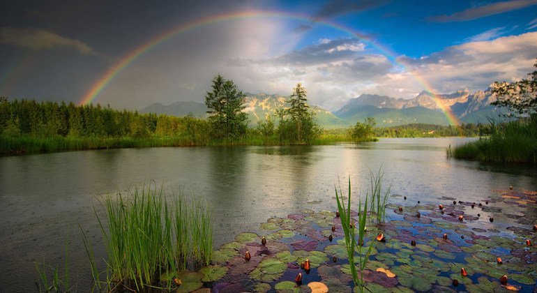 Un arcoiris se forma en un horizonte soleado.