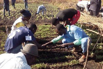 Programa Trabalho Decente de Angola foi assinado pelo Governo de Angola e pela Organização Internacional do Trabalho, OIT. 