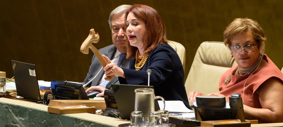 María Fernanda Espinosa Garcés, President of the seventy-third session of the General Assembly, chairs the General Assembly meeting to appoint members of the Credentials Committee.