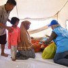 An UNHCR employee helps a family of survivors of the earthquake in Central Sulawesi move into a UNHCR emergency family tent, in the Wani Village of the Indonesian island of Sulawesi. 25 October 2018.