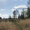 Вид на Кремль из московского парка «Зарядье» 