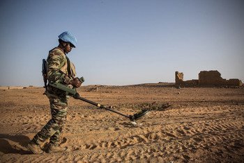 一名来自几内亚的联合国维和人员正在马里北部的基达尔（Kidal）地区进行地雷搜索工作。