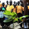 南苏丹特派团在该国首都朱巴的一所学校举行植树活动。