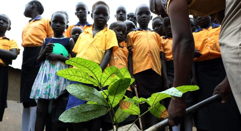 南苏丹特派团在该国首都朱巴的一所学校举行植树活动。