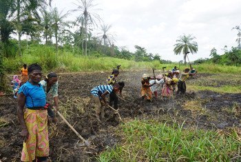Market gardens have been established in coastal zones of the Democratic Republic of the Congo which provide employment, food and help to protect the environment. (March 2018)