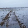 Clima East project by the European Union and UNDP assists environment protection in Eastern Europe. In Belarus, Ukraine and Russia it helps preserve bogs