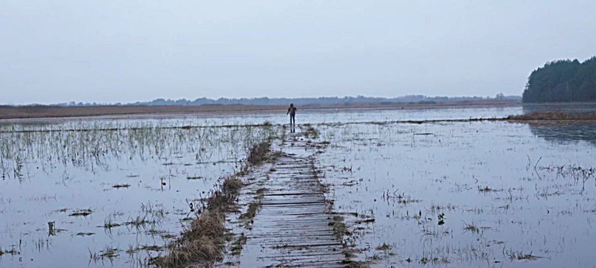 Clima East project by the European Union and UNDP assists environment protection in Eastern Europe. In Belarus, Ukraine and Russia it helps preserve bogs