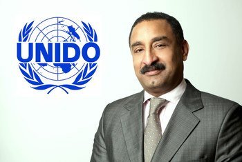 الدكتور هاشم حسين رئيس مكتب الاستثمار وتعزيز التكنولوجيا التابع لليونيدو