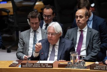 Martin Griffiths, Envoyé spécial du Secrétaire général pour le Yémen, au Conseil de sécurité 