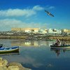 يؤثر تغير المناخ على المناطق الساحلية في تونس ويؤثر على كل من البشر والتنوع البيولوجي البحري.