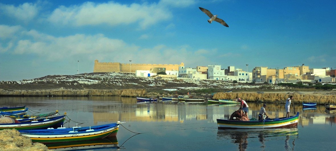 A mudança climática está impactando a zona costeira da Tunisia, afetando os humanos e também a biodiversidade marinha.