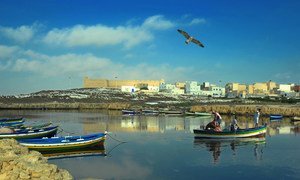 气候变化正在影响突尼斯的沿海地区，同时影响到了人类和海洋生物多样性。