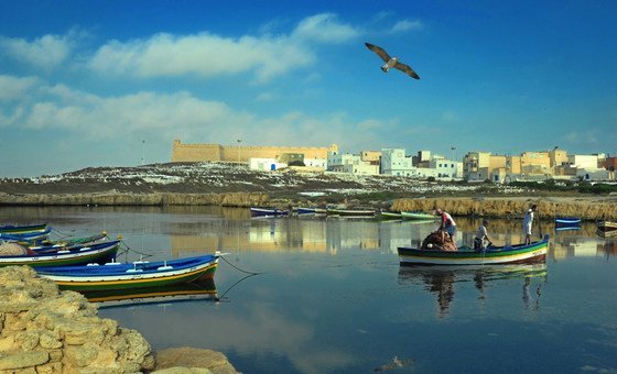 A mudança climática está impactando a zona costeira da Tunisia, afetando os humanos e também a biodiversidade marinha.