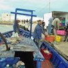 Hace veinte años los pescadores tunecinos eran capaces de pescar pulpo en la costa del país norafricano, pero con el cambio climático ya no es posible.