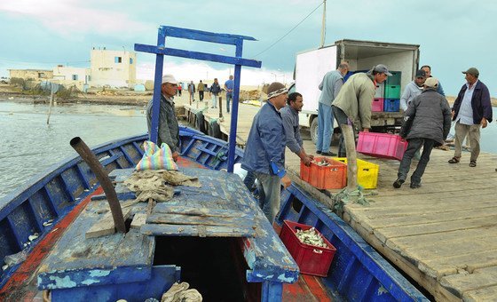 Twenty years ago Tunisian fishermen were able to fish octopus off the coast of the North African country, but changes to the climate mean that is no longer possible.  