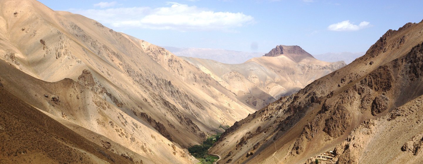 Décadas de conflito destruíram mais da metade das florestas do Afeganistão