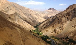Décadas de conflito destruíram mais da metade das florestas do Afeganistão