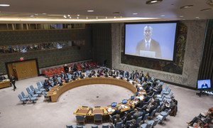 Nickolay Mladenov (on screen), the UN Special Coordinator for the Middle East Peace Process, briefs the Security Council.