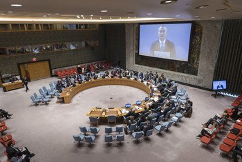 Nickolay Mladenov (on screen), the UN Special Coordinator for the Middle East Peace Process, briefs the Security Council.
