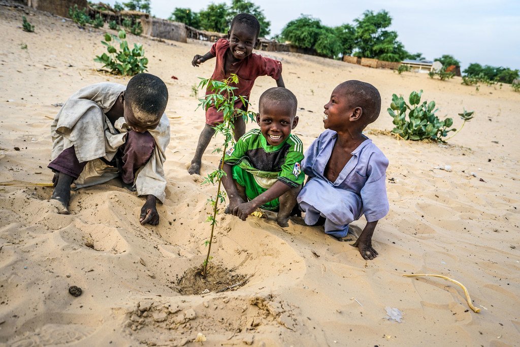 In the reforestation site of Merea, Chad, children are planting acacia seedlings for the future In the past 50 years, Lake Chad basin shrank from 25,000 square kilometers to 2,000square kilometers.