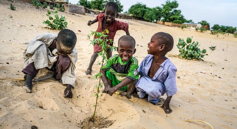 Unos niños plantan acacias en el área de reforestación de Merea, en Chad. 