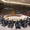 Совет Безопасности собрался для обсуждения ситуации в Керченском проливе