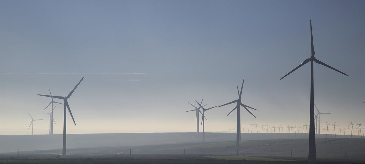 En Roumanie, des éoliennes qui produisent de l'énergie durable.