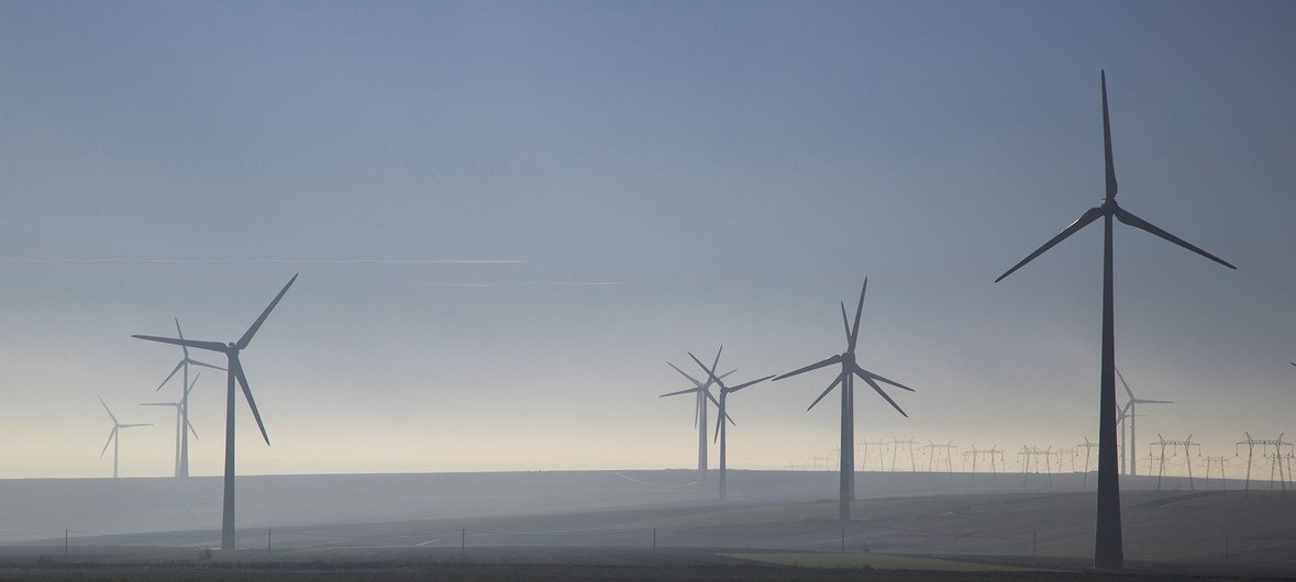 En Roumanie, des éoliennes produisent de l'énergie durable.