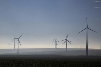 En Roumanie, des éoliennes produisent de l'énergie durable.