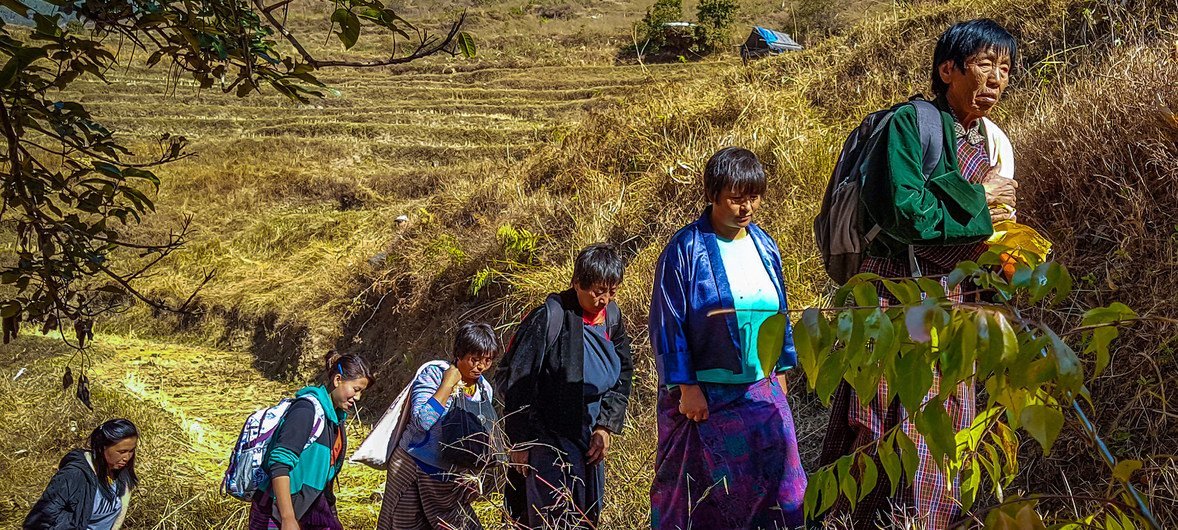 In Bhutan, local farmers are supported by a UNDP project to harness the power of unique local medicinal plants while perserving biodiversity.