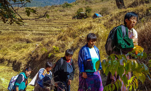 In Bhutan, local farmers are supported by a UNDP project to harness the power of unique local medicinal plants while perserving biodiversity.