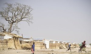 Mafa, a camp for internally displaced people in Borno State, north-east Nigeria, January 2018.