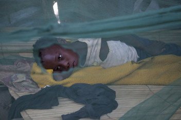 فتاة موزمبيقية بالغة من العمر عشر سنوات تعاني من الملاريا. تنام داخل ناموسية تحتوي عدة ثقوب.