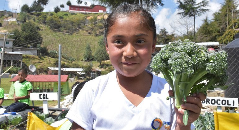 منظمة الفاو تدعم الممارسات الجيدة لمنع السمنة في مدارس المكسيك الابتدائية.