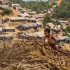 At the Hakimpara refugee camp in Cox's Bazar, Bangladesh, a young boy collects the firewood that has been drying on the roof of his shelter.