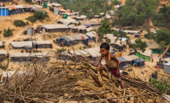 De acordo com a ONU, a chegada de tantas pessoas num período tão curto levou à destruição de vastas faixas de florestas 