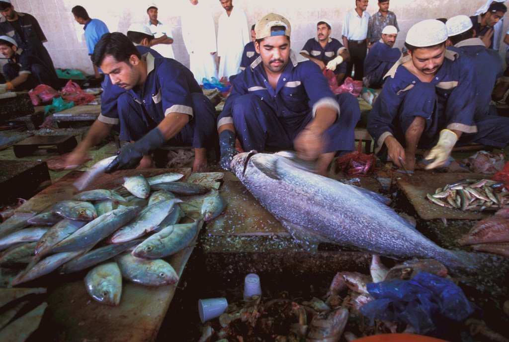移民劳动者在阿联酋迪拜的一家鱼市内处理鲜鱼。