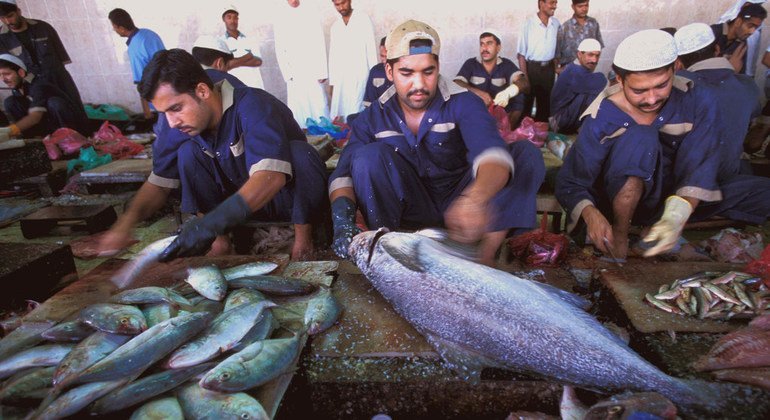 Trabajadores migrantes en un mercado de pescados en Dubai, Emiratos Árabes Unidos