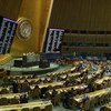 L'Assemblée générale des Nations Unies.