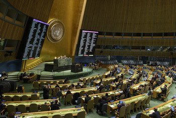 La Asamblea General de la ONU.