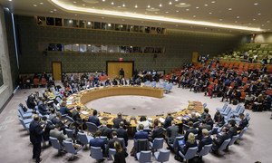 The UN Security Council debates Iran's nuclear programme on 12 December 2018. 