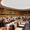 Заседание Четвертого комитета Генеральной Ассамблеи ООН