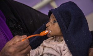 A severely malnourished two-month old infant in Hajjah, Yemen, being fed. The continuing conflict in Yemen is pushing millions of people to the brink of famine. 15 November 2018.